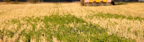 Maanviljelijä – ruuantuottaja ja päästökauppias