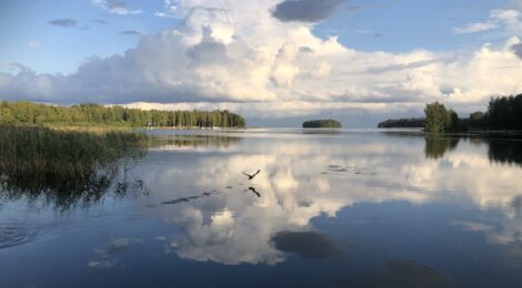 Muuttomietteitä