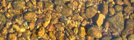 kiviä järven pohjassa