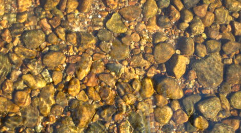 kiviä järven pohjassa