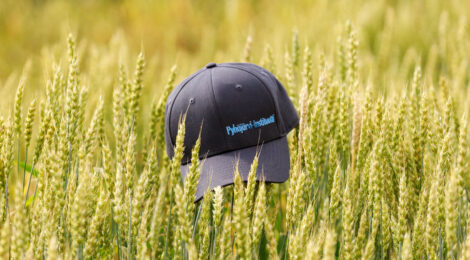 Kesätyöni Pyhäjärvi-instituutissa