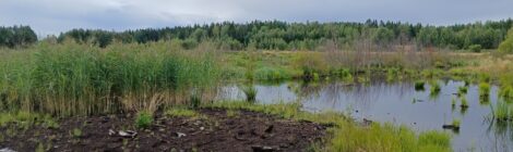 käytöstä poistunut turvetuotantoalue