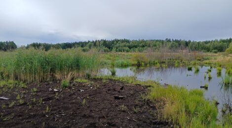 käytöstä poistunut turvetuotantoalue